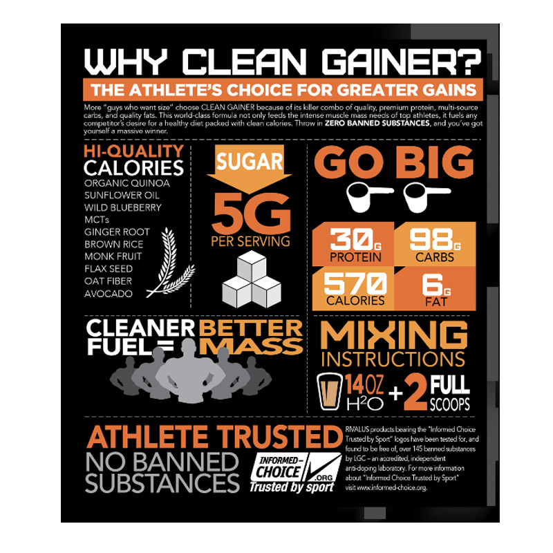 Rival Clean Gainer 5 Lbs Best Price in UAE