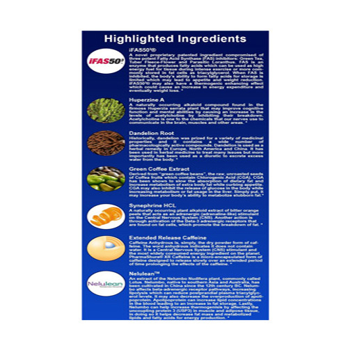 Ronnie Coleman Diet & Weight Management Beat Stim 45SERV Price in Abu Dhabi