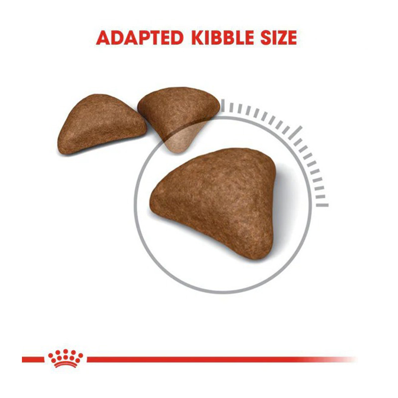 Royal Canin Care Hairball Cat Food 2 Kg Best Price in Dubai