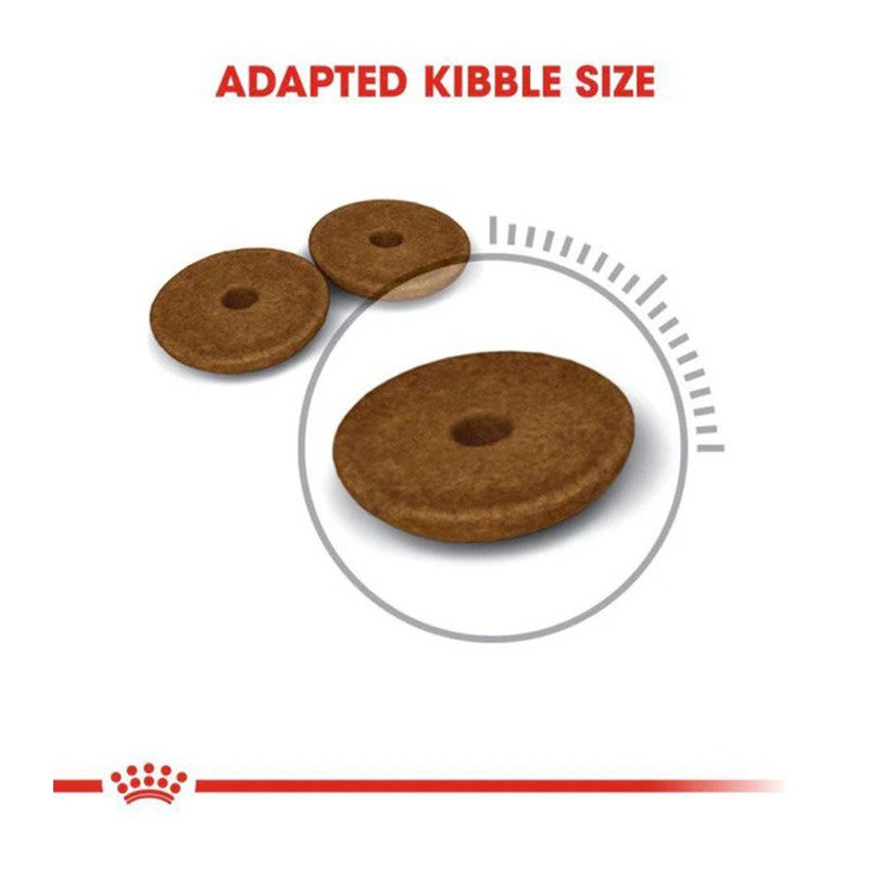 Royal Canin Digestive Care Cat Food 2 Kg Best Price in Dubai