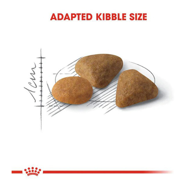 Royal Canin Feline Preferences Savour Exigent Cat Food 10 Kg Best Price in Dubai