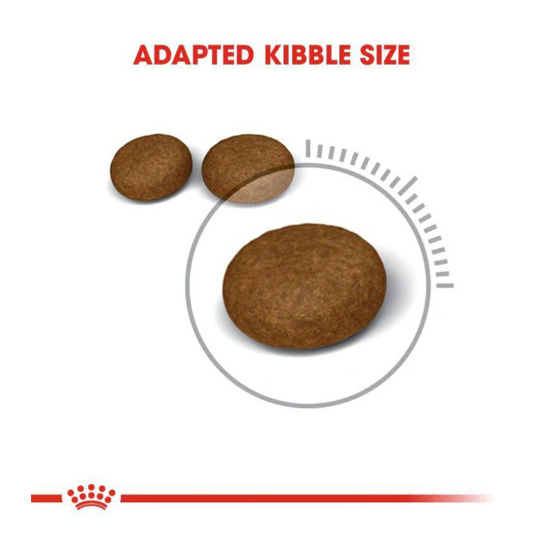 Royal Canin Hair & Skin Care Cat Food 10 Kg Best Price in Dubai