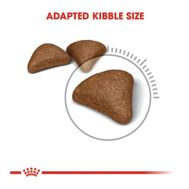 Royal Canin Hairball Care Cat Food 4 Kg Best Price in Dubai