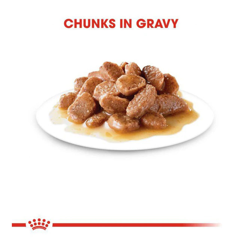 Royal Canin Hairball Care Gravy Cat Food 85 g x 12 Best Price in Dubai