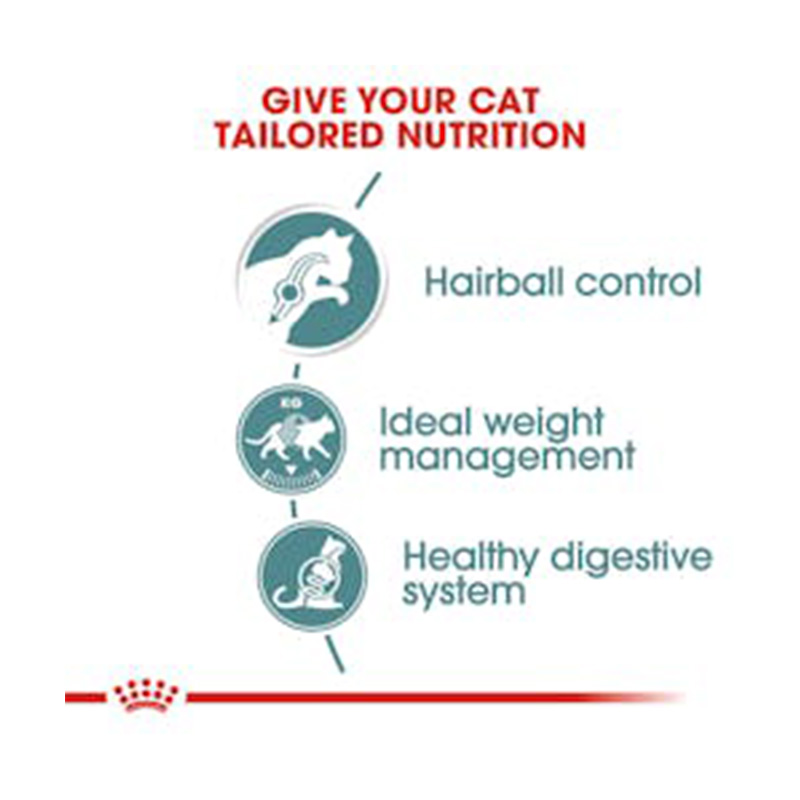 Royal Canin Hairball Care Gravy Cat Food 85 g x 12 Best Price in Ajman