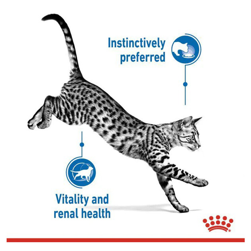 Royal Canin Indoor 7 Plus Cat Food Pouch 85 g x 12 Best Price in Ajman