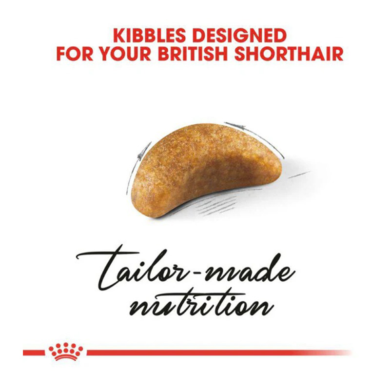 Royal Canin Kitten British Shorthair Food 2 Kg Best Price in Dubai