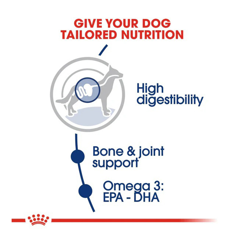 Royal Canin Maxi Adult Dog Food 1 Kg Best Price in UAE