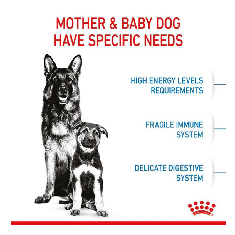 Royal Canin Maxi Starter Mother & Baby Dog Food 15 Kg Best Price in Abu Dhabi