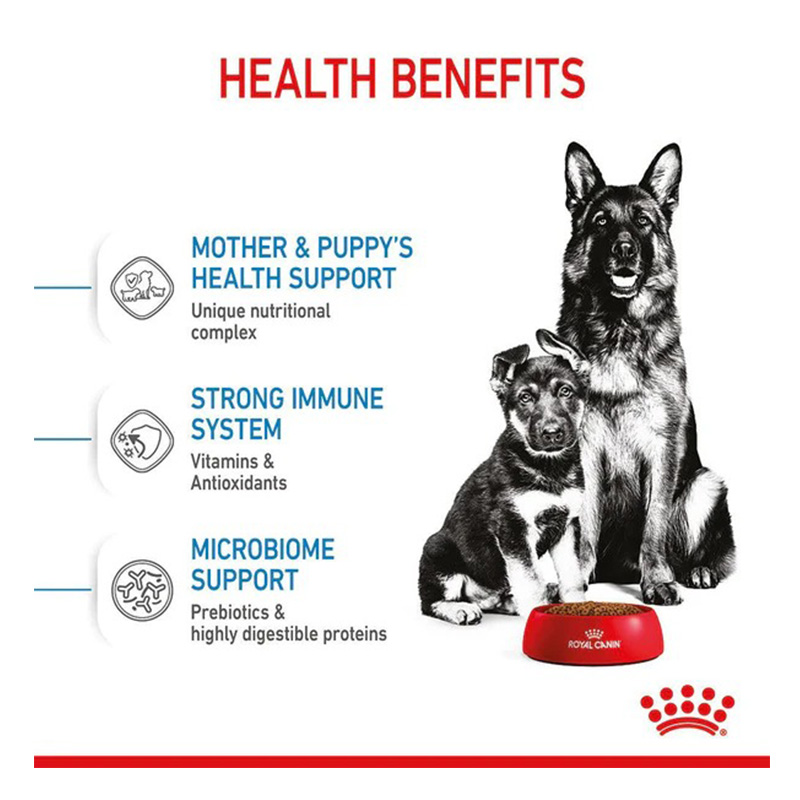 Royal Canin Maxi Starter Mother & Baby Dog Food 15 Kg Best Price in UAE