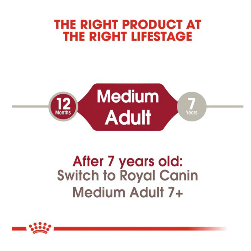 Royal Canin Medium Adult Dog Food 1 Kg Best Price in Abu Dhabi