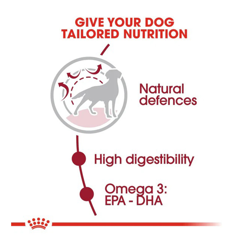 Royal Canin Medium Adult Dog Food 1 Kg Best Price in UAE