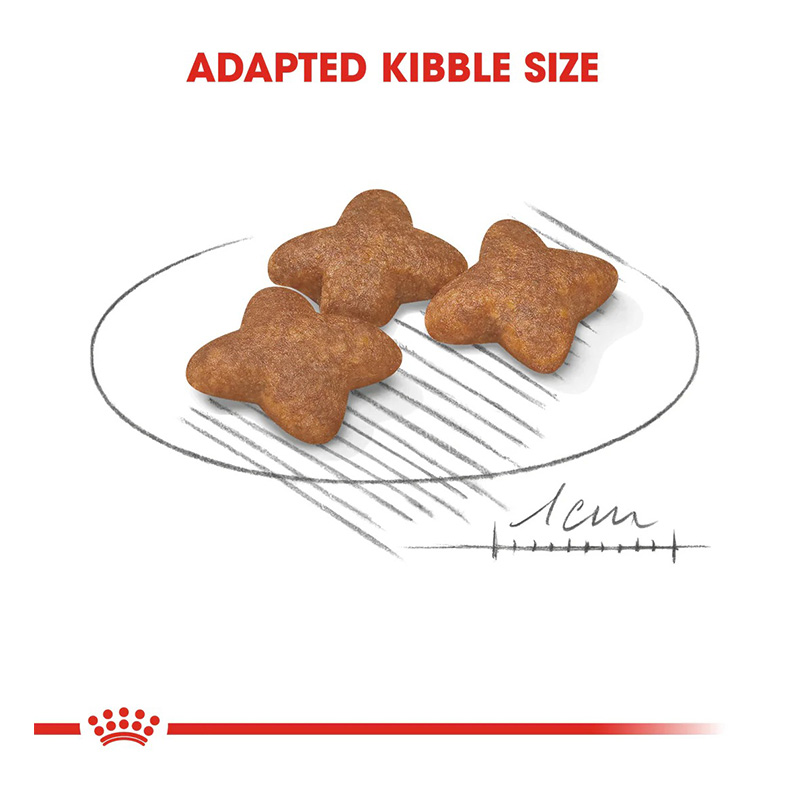 Royal Canin Mini Adult Dog Food 8 Kg Best Price in Dubai