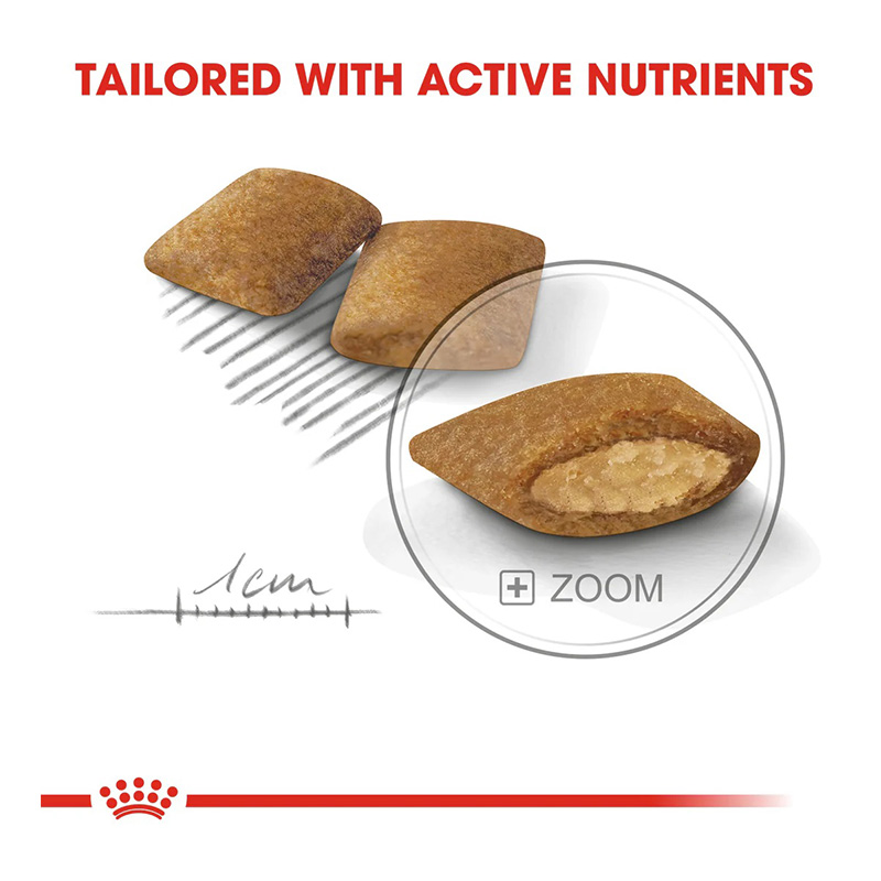 Royal Canin Mini Exigent Dog Food 3 Kg Best Price in Dubai