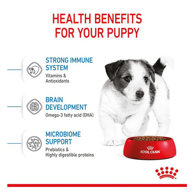Royal Canin Mini Puppy Dog Food 8 Kg Best Price in UAE