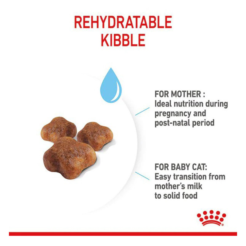 Royal Canin Mother & Baby Cat Food 2 Kg Best Price in Dubai