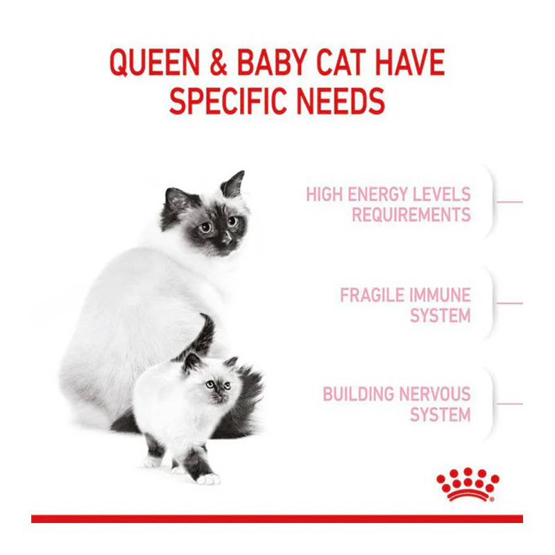 Royal Canin Mother & Baby Cat Food 2 Kg Best Price in UAE