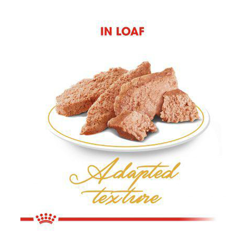 Royal Canin Persian Cat Food 85 g x 12 Best Price in Dubai