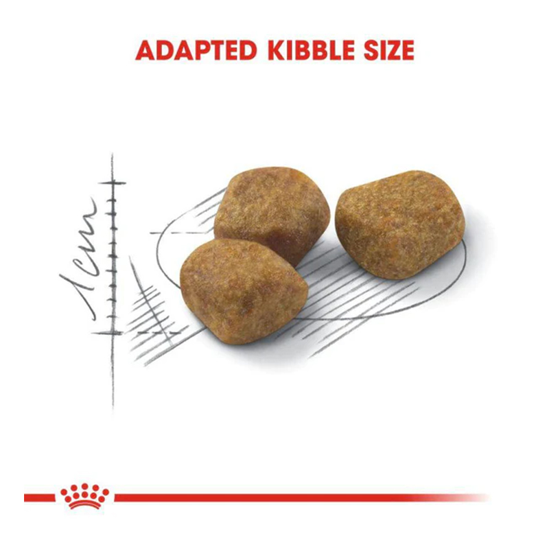 Royal Canin Regular Fit 32 Cat Food 2 Kg Best Price in Dubai