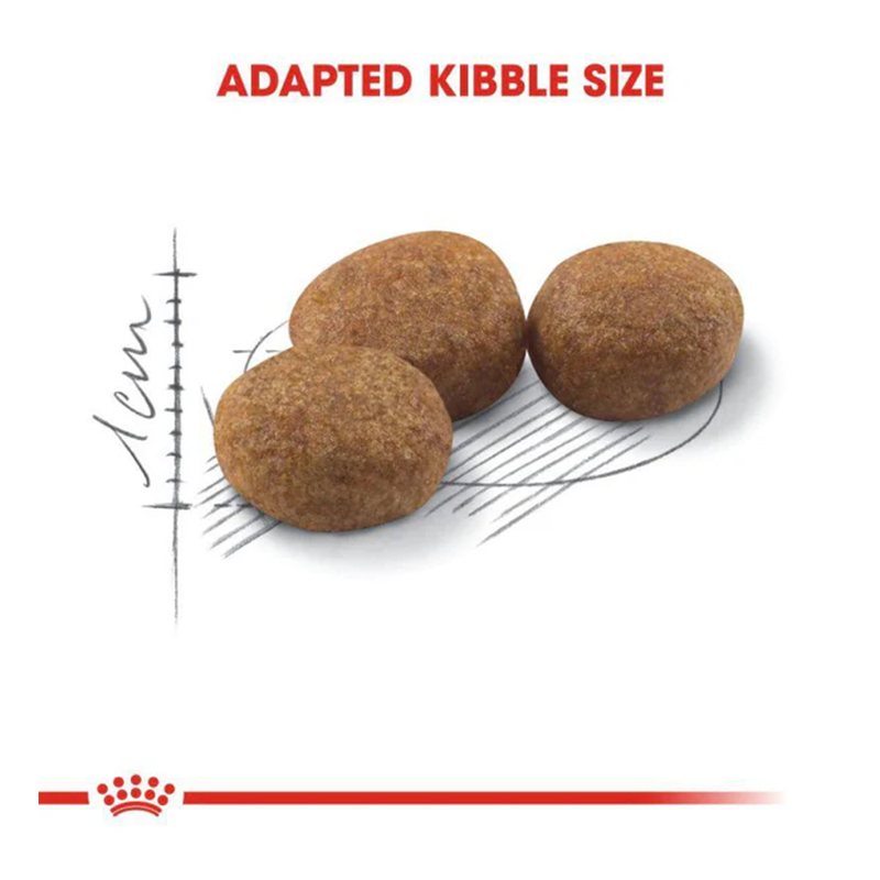 Royal Canin Regular Sterilised Cat Food 2 Kg Best Price in Dubai