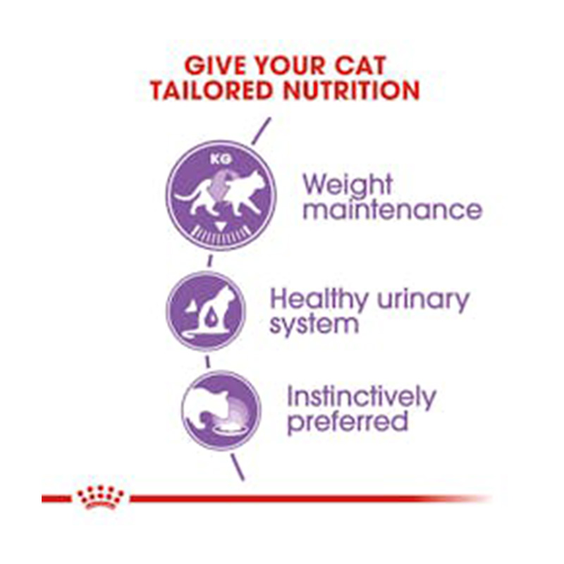 Royal Canin Sterilised Jelly Cat Food 85 g x 12 Best Price in UAE