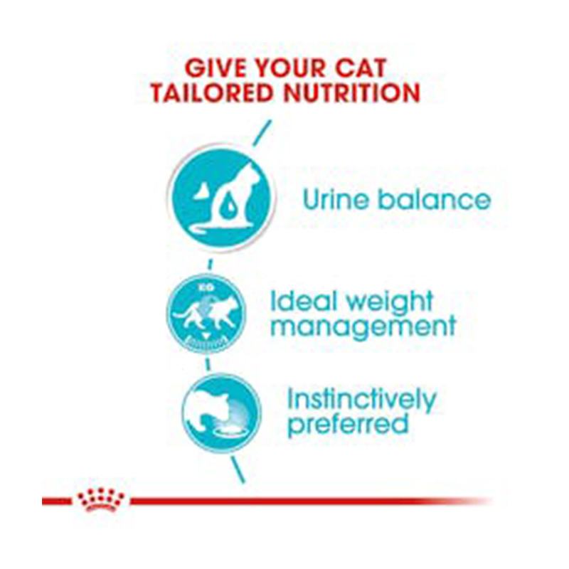 Royal Canin Urinary Care Gravy Wet Cat Food 85x12 Best Price in Al Ain