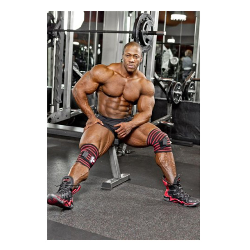 Schiek 78 Inch Heavy Duty Knee Wraps Without Velcro Black Best Price in Dubai