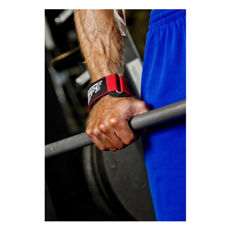 Schiek Ultimate Grip Strap Best Price in UAE