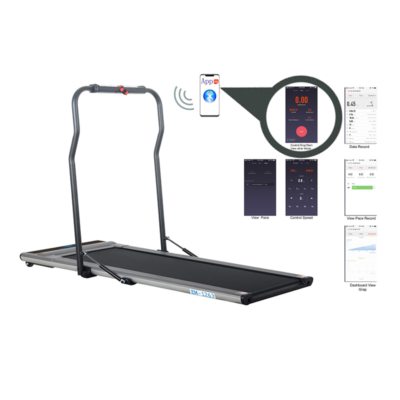 Skyland Home Use Treadmill - EM-1263
