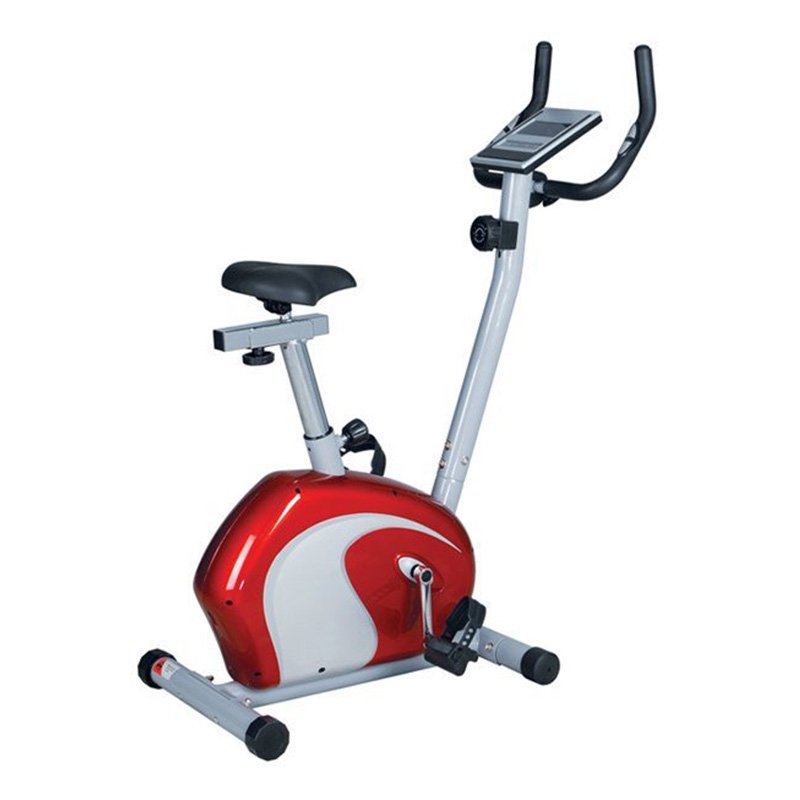 Skyland Magnetic Exercise Bike - EM-1531
