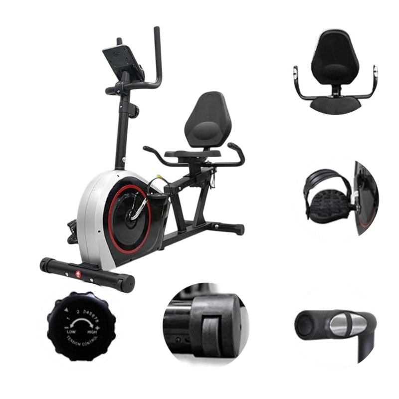 SkyLand Recumbent Exercise Bike – 8-Level Magnetic Resistance, Adjustable Seat & App Compatible for Home Gym - Black  Best Price in Dubai