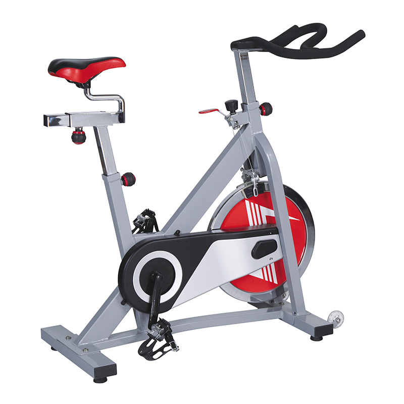 Skyland Spinning Bike - EM-1552
