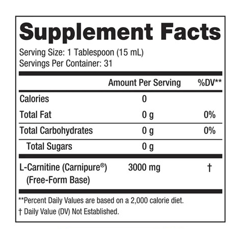 Steel Fit Steel Burn Liquid L-Carnitine 3000 mg 473 ml - Cotton Candy Best Price in Ajman