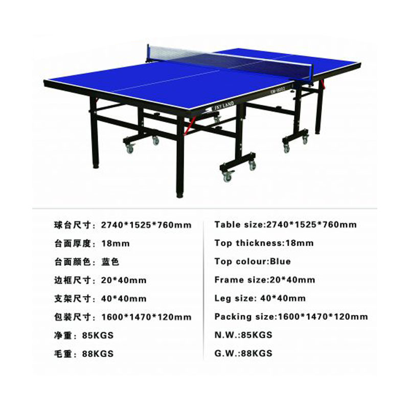 Table Tennis