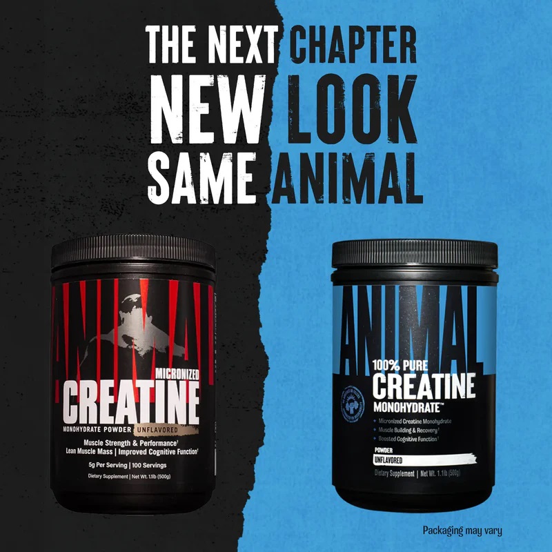 Universal Animal 100% Pure Creatine Monohydrate 300 G - Unflavored Best Price in Abu Dhabi