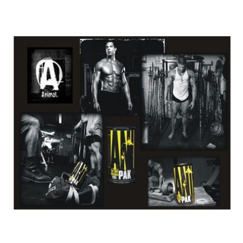 Universal Animal PAK - 44 PAK Best Price in UAE