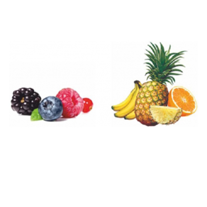 Viking Force L-Carnitine Liquid 480 Best Price in UAE