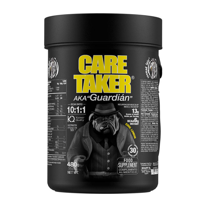 Zoomad Labs Care Taker BCAA 480 G Best Price in Ras Al Khaimah