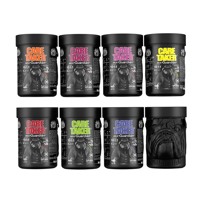 Zoomad Labs Care Taker BCAA 480 G Best Price in Fujairah