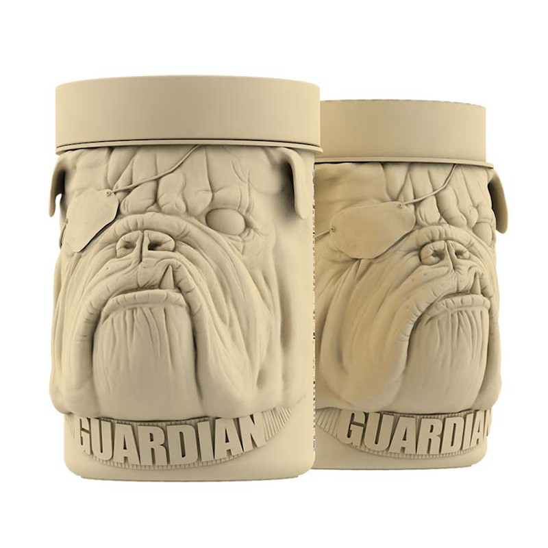 Zoomad Labs Care Taker Sleeper BCAA 405 G Best Price in Sharjah