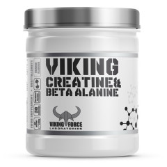 Viking Force Alkalin Creatine & Beta Alanine 300g