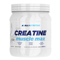 All Nutrition Creatine Muscle Max Flavored 500G
