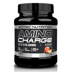 Scitec Nutrition Amino Charge 570 gm