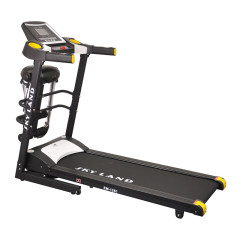 Skyland Home Use Treadmill - NEW LAUNCH