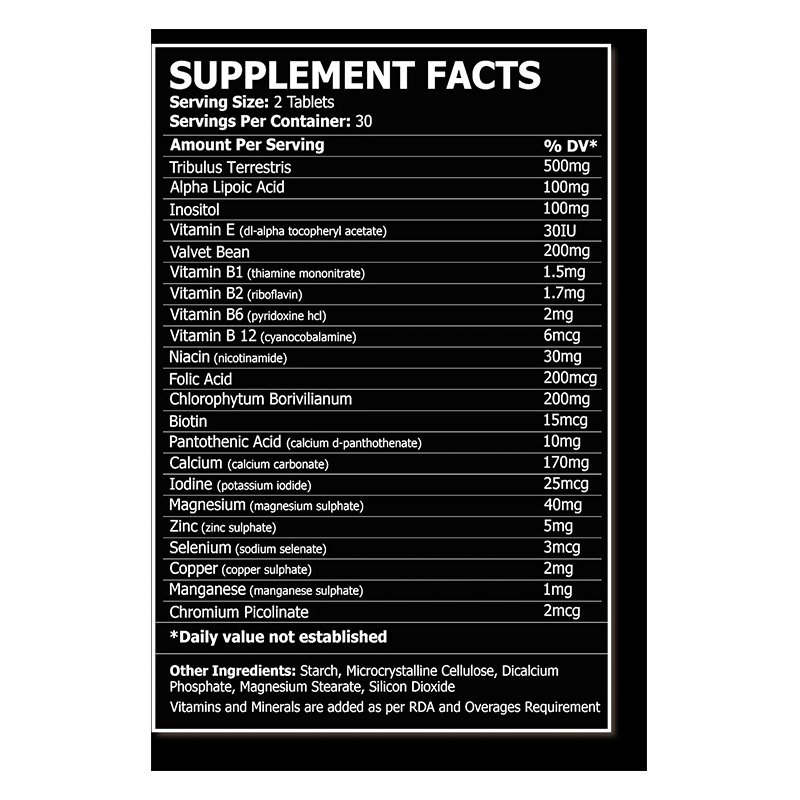 Buy Core Champs Testro Gen Testosterone Booster 60 Tablets in Dubai