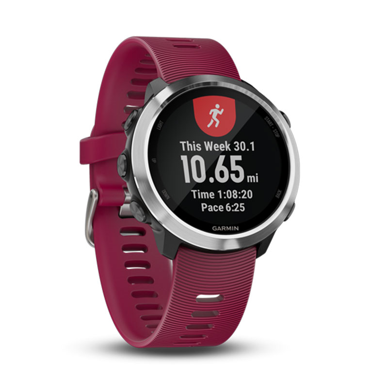 Forerunner 645