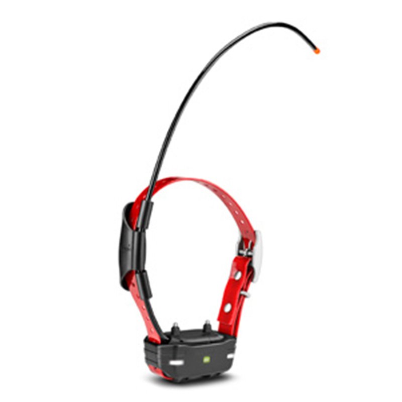 Buy Garmin PT 10 Dog Device Red Collar in Dubai, Abu Dhabi, Sharjah