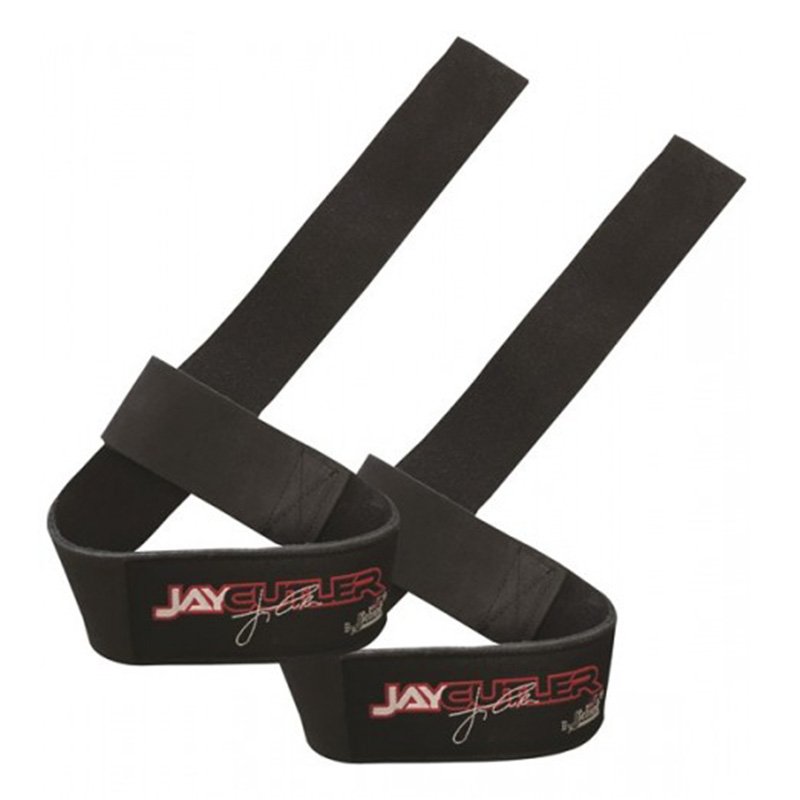 Buy Schiek Jay Cutler Signature Leather Lifting Straps in Dubai, Abu