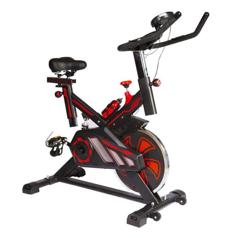 Skyland spin bike hotsell